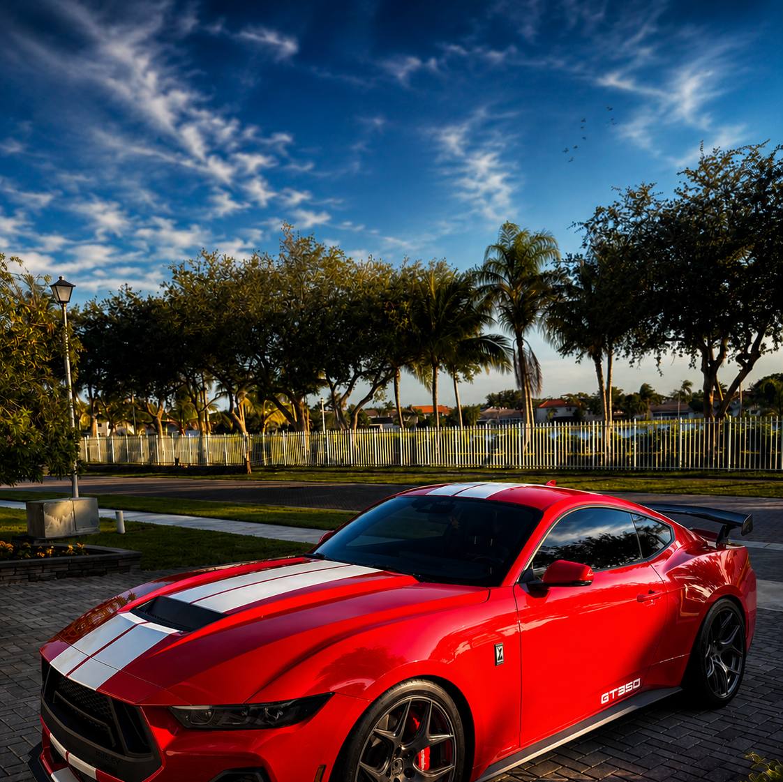 Red Ford Mustang GT350 after full mobile detail and ceramic coating